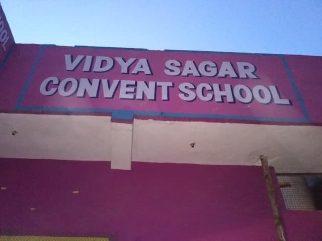 Vidyasagar High School Gallery 0