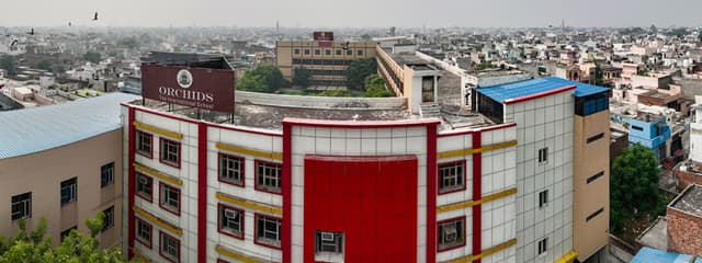 Orchids The International School Gallery 0