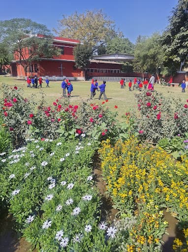 Ingraham English Medium School Gallery 0