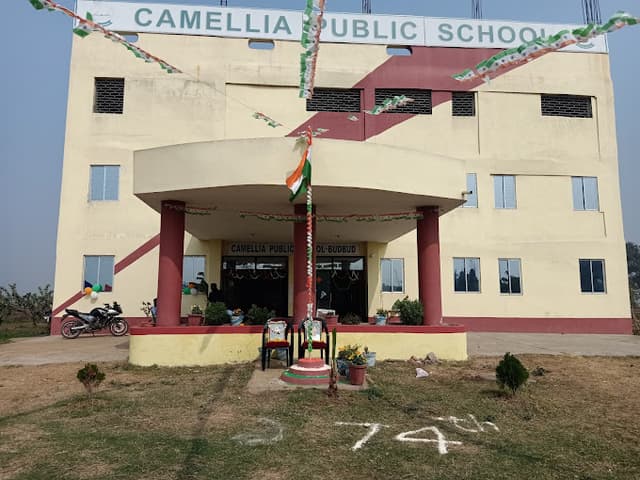 Camellia Public School - BudBud Bypass Gallery 0