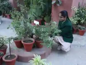 SNEH International School Gallery 6