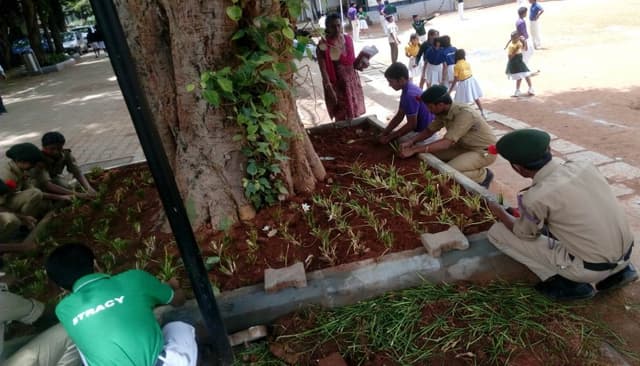 Cathedral High School Gallery 1