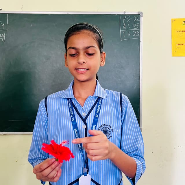 ST Teresa School Gallery 1