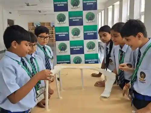 Mayoor School Gallery 9