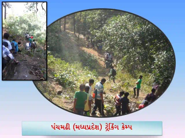 Leuva Patel Boarding Gallery 3