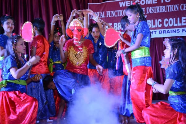 Bright Brain Public Collegiate Gallery 14