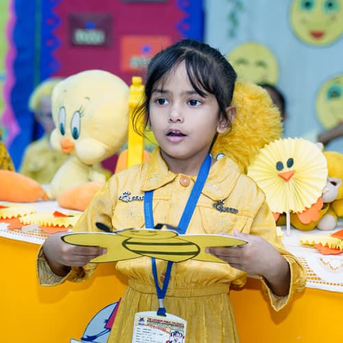 The Lucknow Public Collegiate Gallery 5