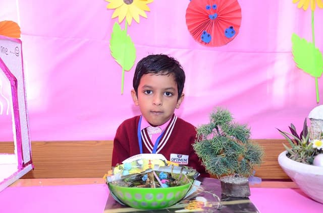 Optimum International School Gallery 25