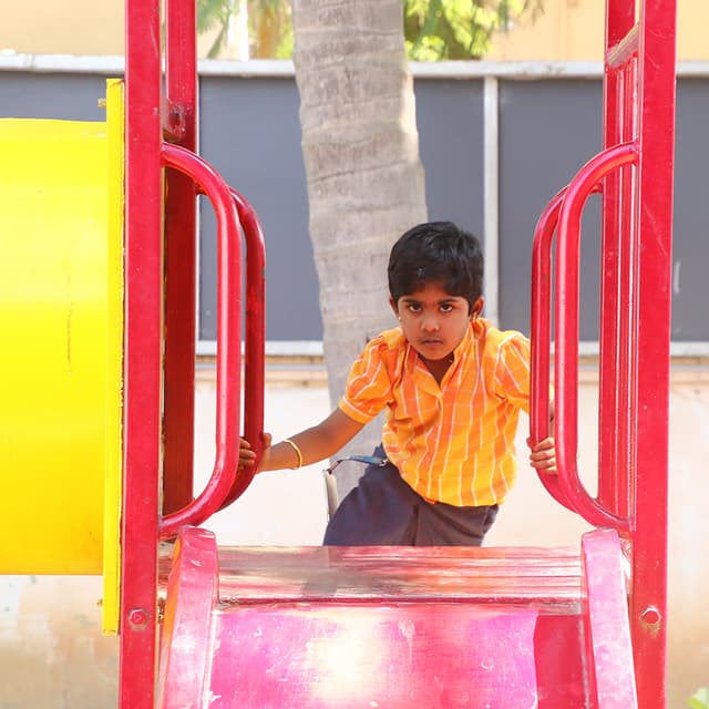 ABACUS International Montessori School Gallery 29