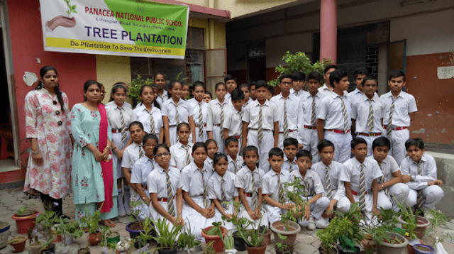 Panacea National Public School Gallery 1