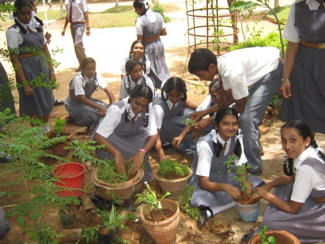 Bharatiya Vidya Bhavan's Vidyasharam Gallery 30