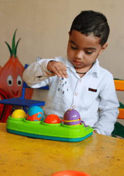 Sunshine National School Gallery 5