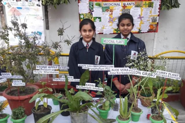 The Lucknow Public Collegiate, Jopling Road Gallery 4