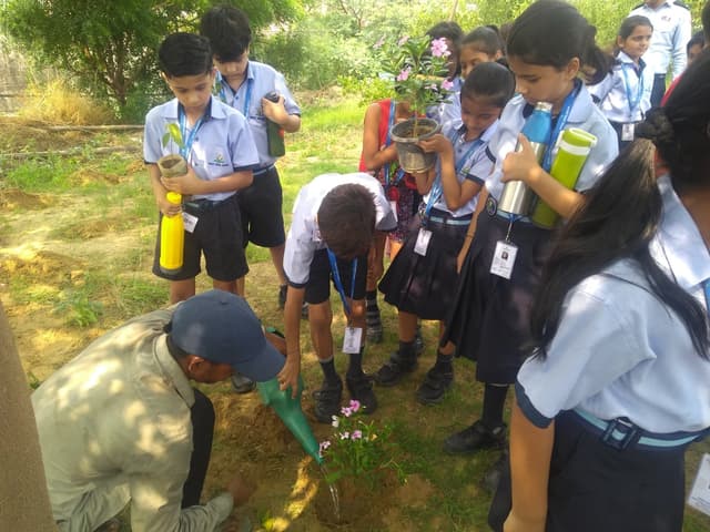 Made Easy School Gallery 42