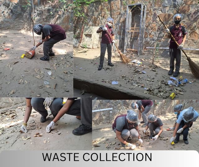 Cambridge School Gallery 10