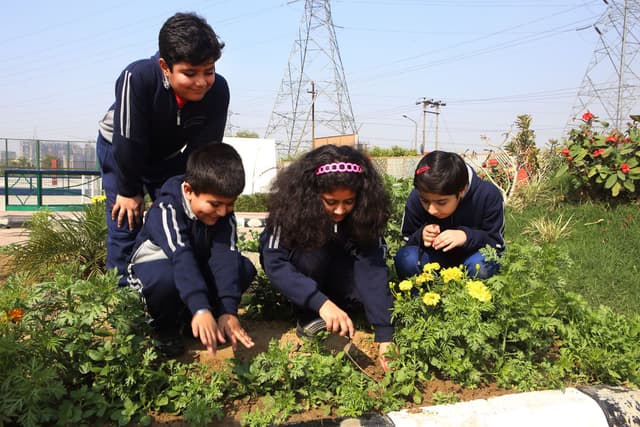 Darbari Lal Foundation World School Gallery 4