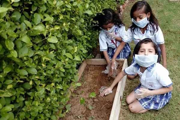 Chalk Tree Global School Gallery 8