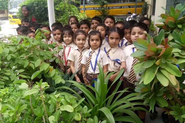 New Adarsh Public School Gallery 5