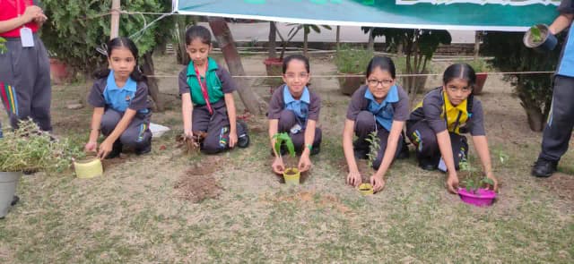 North-Ex Public School Gallery 21