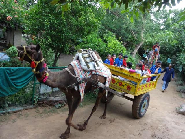 Gyan Kunj Public School Gallery 2