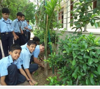 American Public School Gallery 1