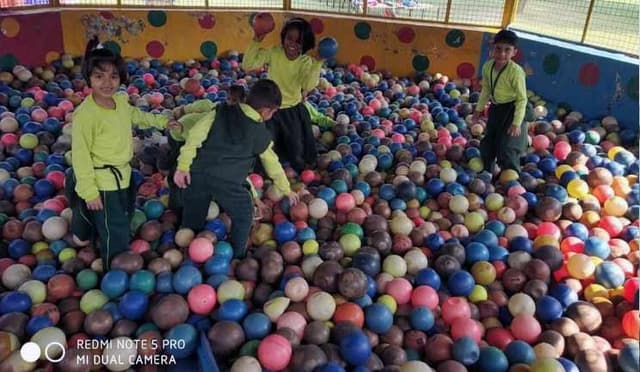 DPS Hailymandi Gallery 24