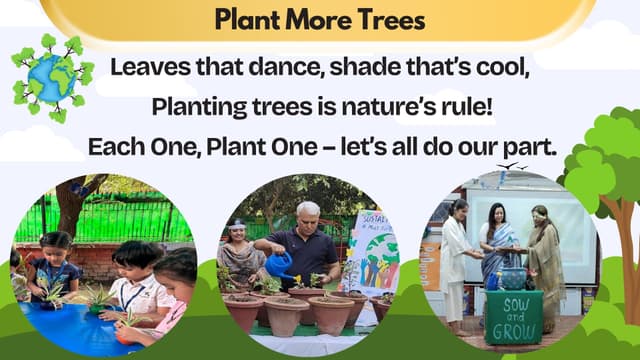 Salwan Montessori School Gallery 5