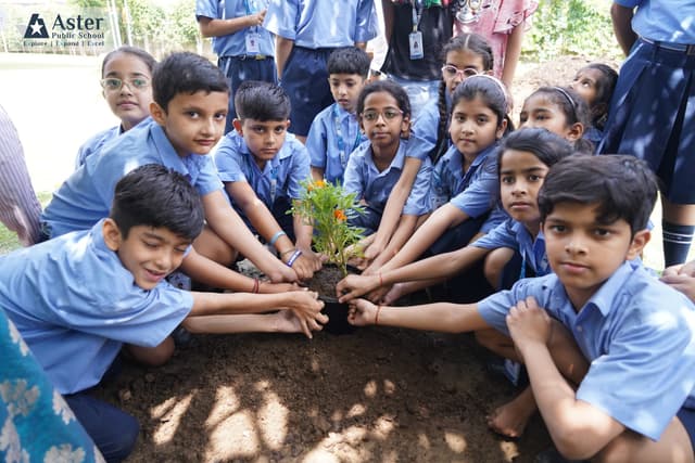 Aster Public School Gallery 42