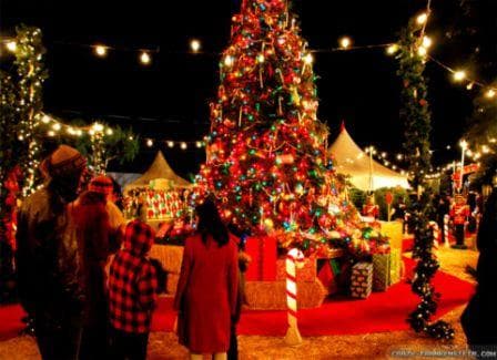 Kunwars Global School Gallery 14