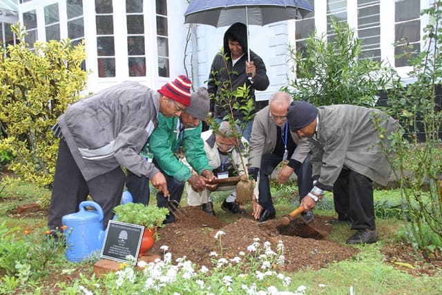 The Blue Mountains School Gallery 9