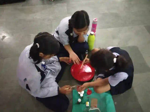 Cosmos Public School Gallery 5