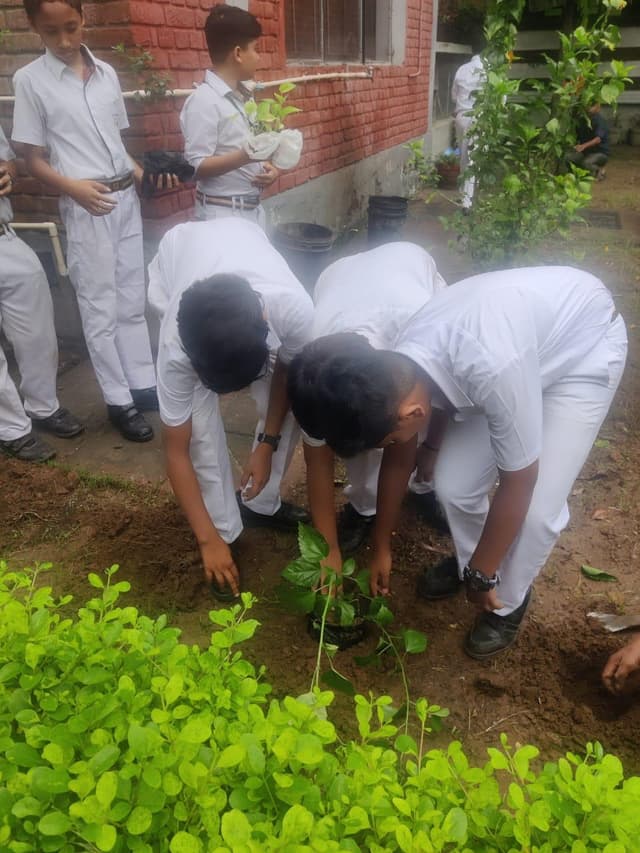 J.D. Tytler School Gallery 169