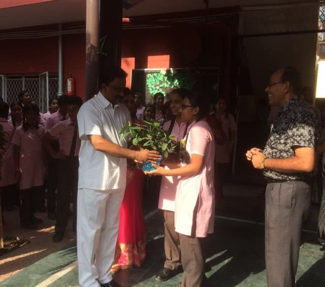 St. Mary's Public School Gallery 1