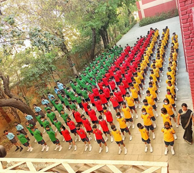 The Mann School Gallery 53