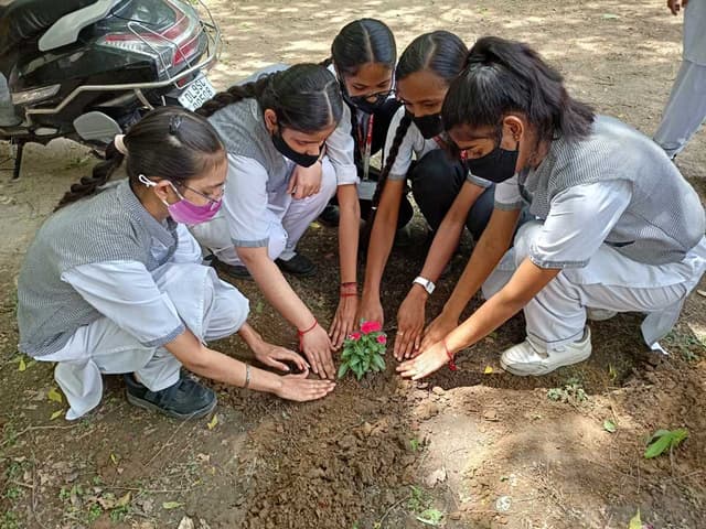 Pusa Public School Gallery 1