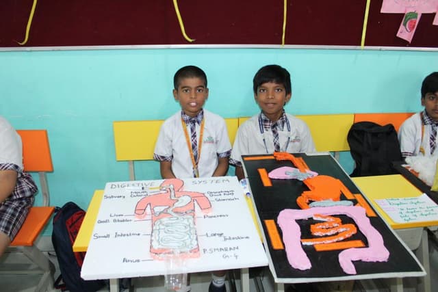 Laurus - The Universal School Gallery 15