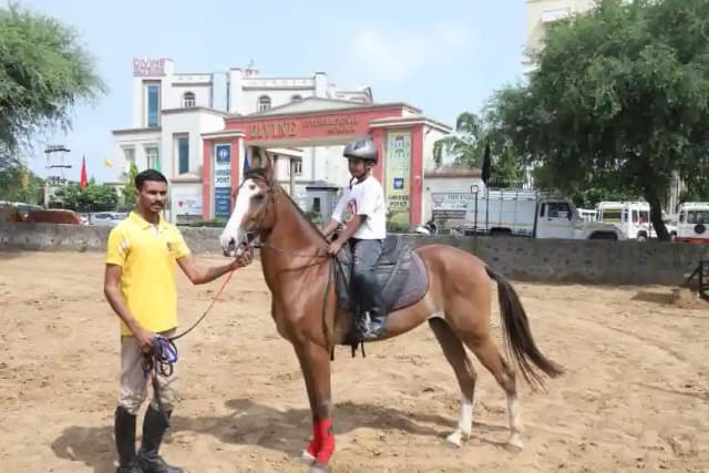 Divine International School Gallery 12