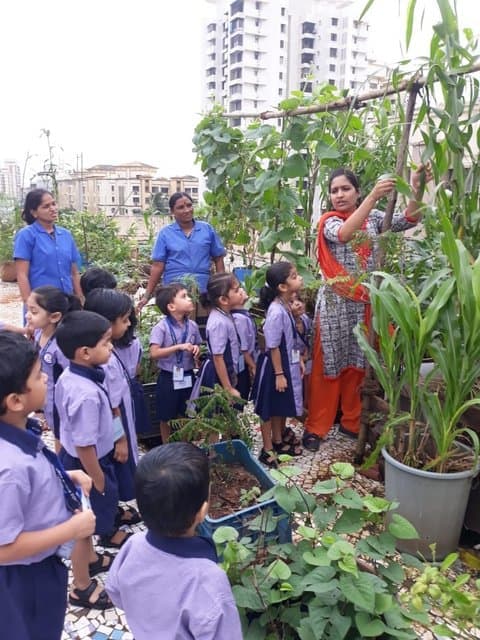 Nalanda Public School Gallery 10