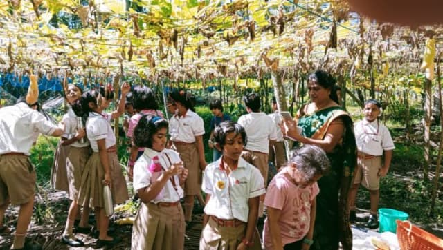 Radcliffe School Gallery 1