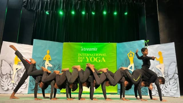 Treamis World School Gallery 3