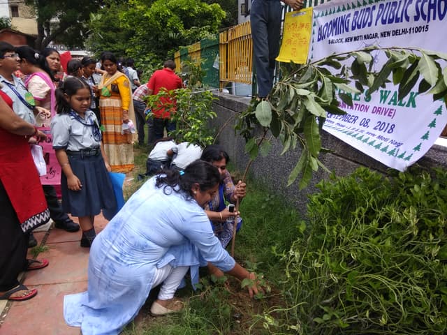 Blooming Buds Public School Gallery 27