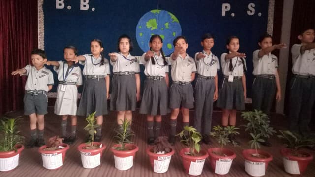 Blooming Buds Public School Gallery 28