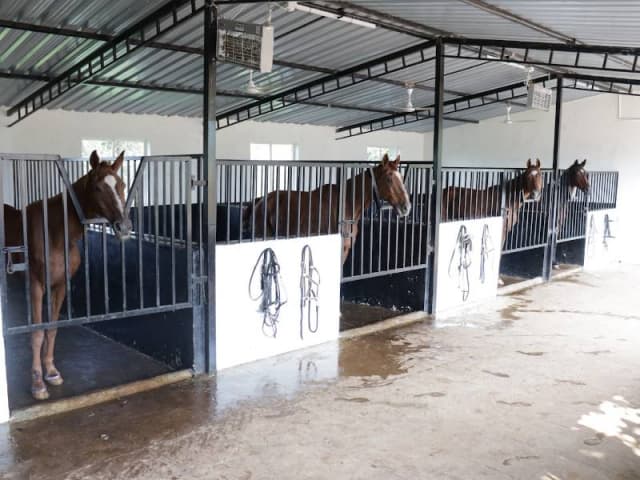 Vijaybhoomi Junior College Gallery 13