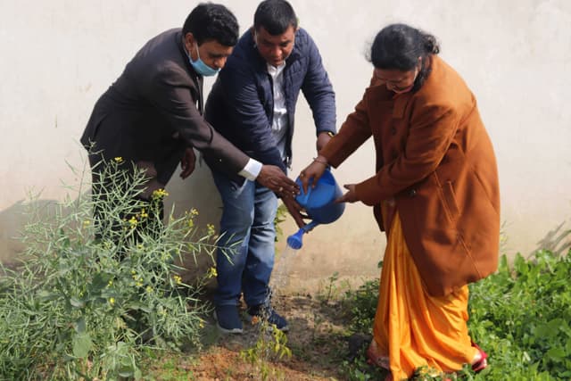 Spring Dale School Gallery 12