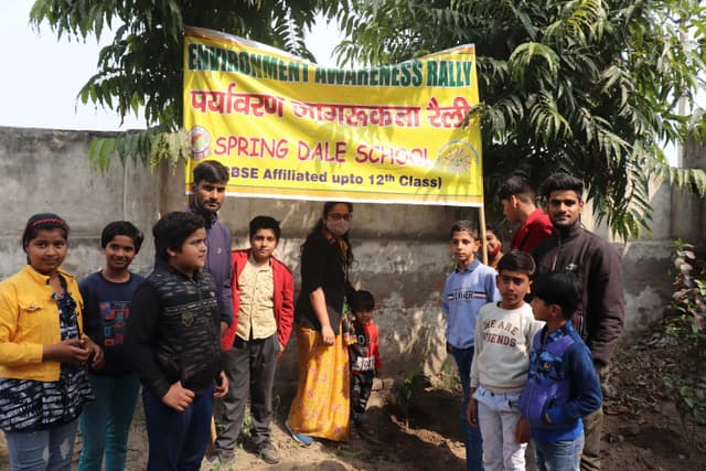 Spring Dale School Gallery 8