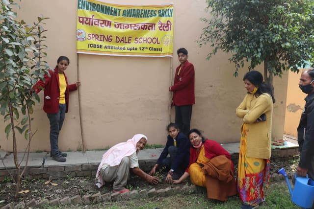 Spring Dale School Gallery 9