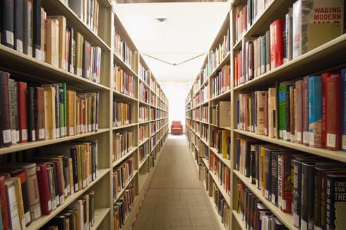 Knowledgeum Academy Gallery 5