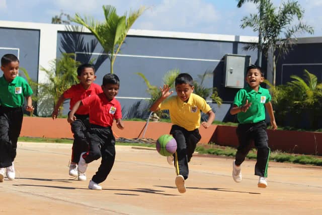 Gladiolus English Medium School Gallery 9