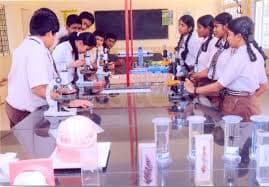 Bright Public School Gallery 4