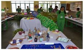 Green Country Public School Gallery 2